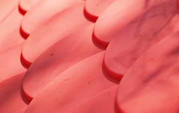 Canonsgrove plastic roof costs