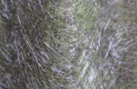 Canonsgrove fibreglass roof work